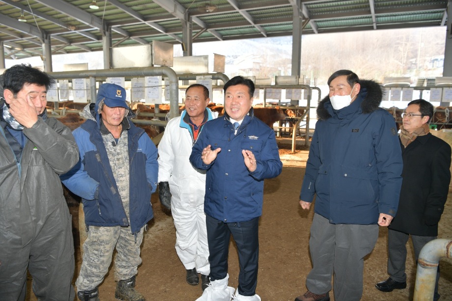 송아지경매시장 방문 이미지