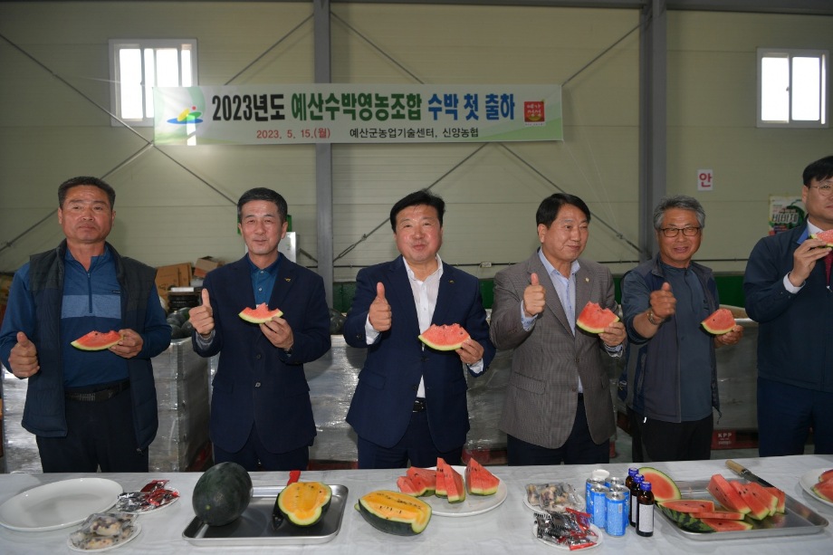 친환경수박연구회 수박 첫 출하현장 방문 이미지