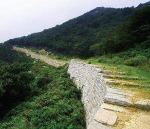 임존성