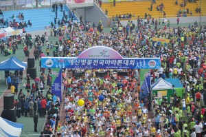 제6회벚꽃마라톤대회