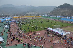 제6회벚꽃마라톤대회