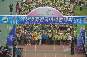 제6회벚꽃마라톤대회