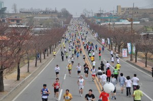 제6회벚꽃마라톤대회