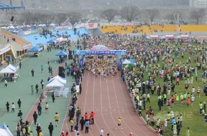 제6회벚꽃마라톤대회
