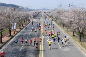 제9회 예산벚꽃전국마라톤 대회 개최