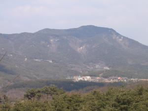 덕숭산 전경