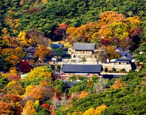 수덕사(가을)