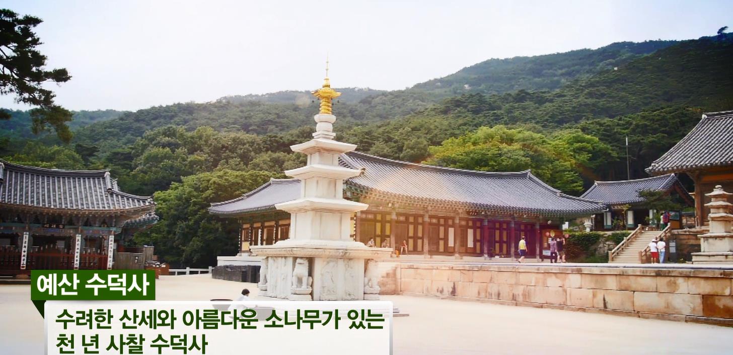 2014년 홍보동영상