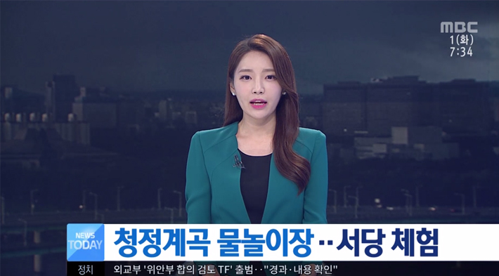 청정 계곡 봉수산 물놀이장 인기(MBC)