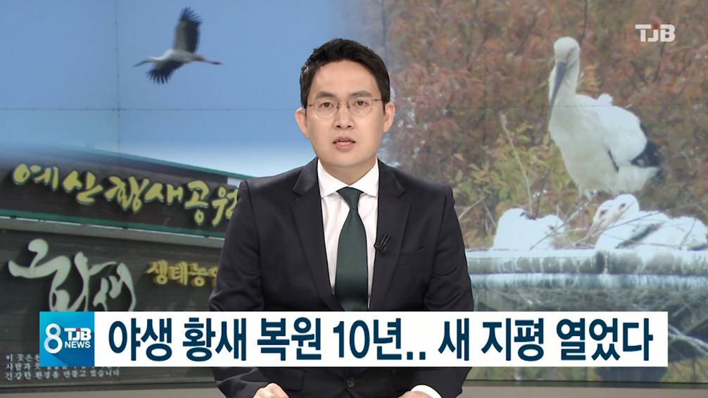 (TJB뉴스)야생 황새 복원 10년..새 지평 열었다