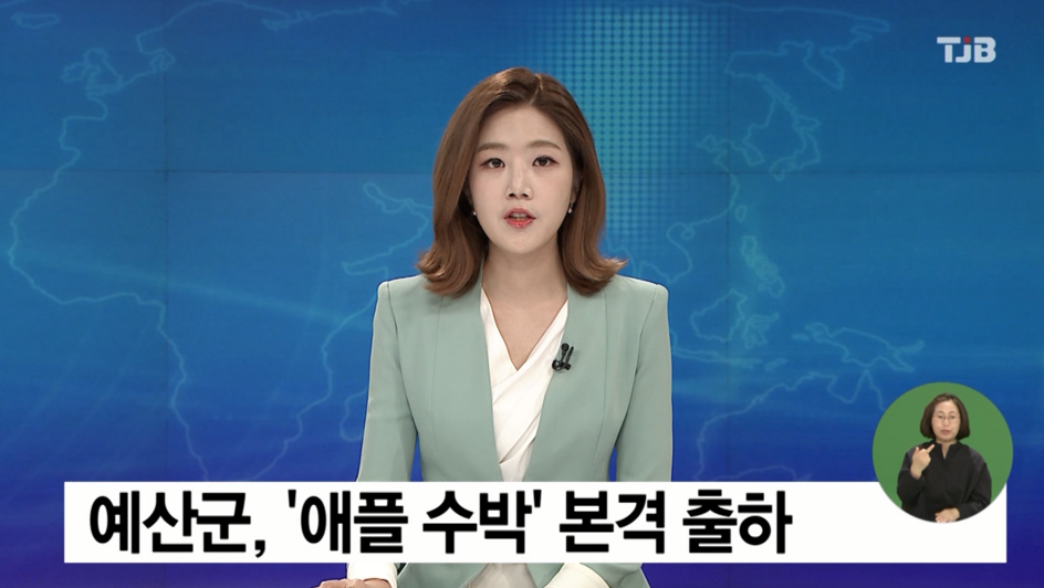 (TJB뉴스)예산군, 애플수박 본격출하