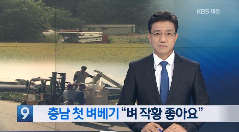 (KBS뉴스) 충남 첫 벼베기 