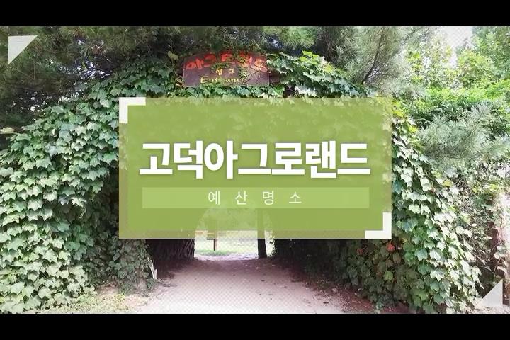 예산명소 고덕아그로랜드