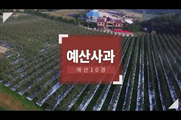 예산10경 예산사과