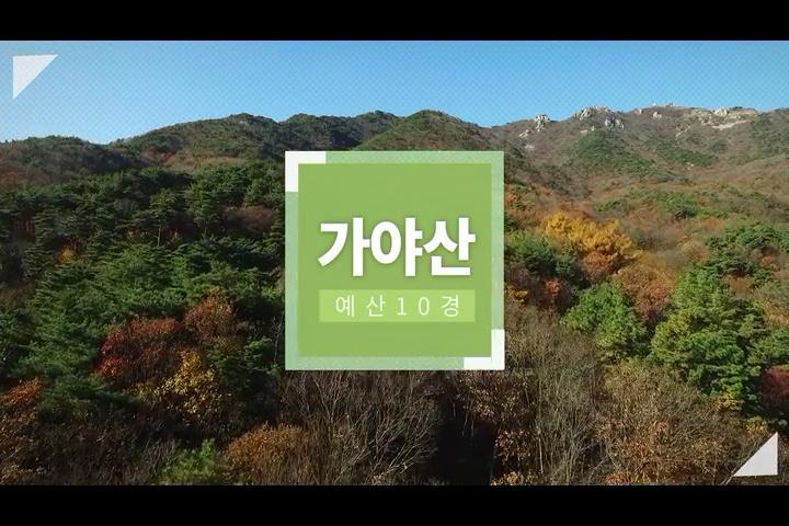 예산10경 가야산