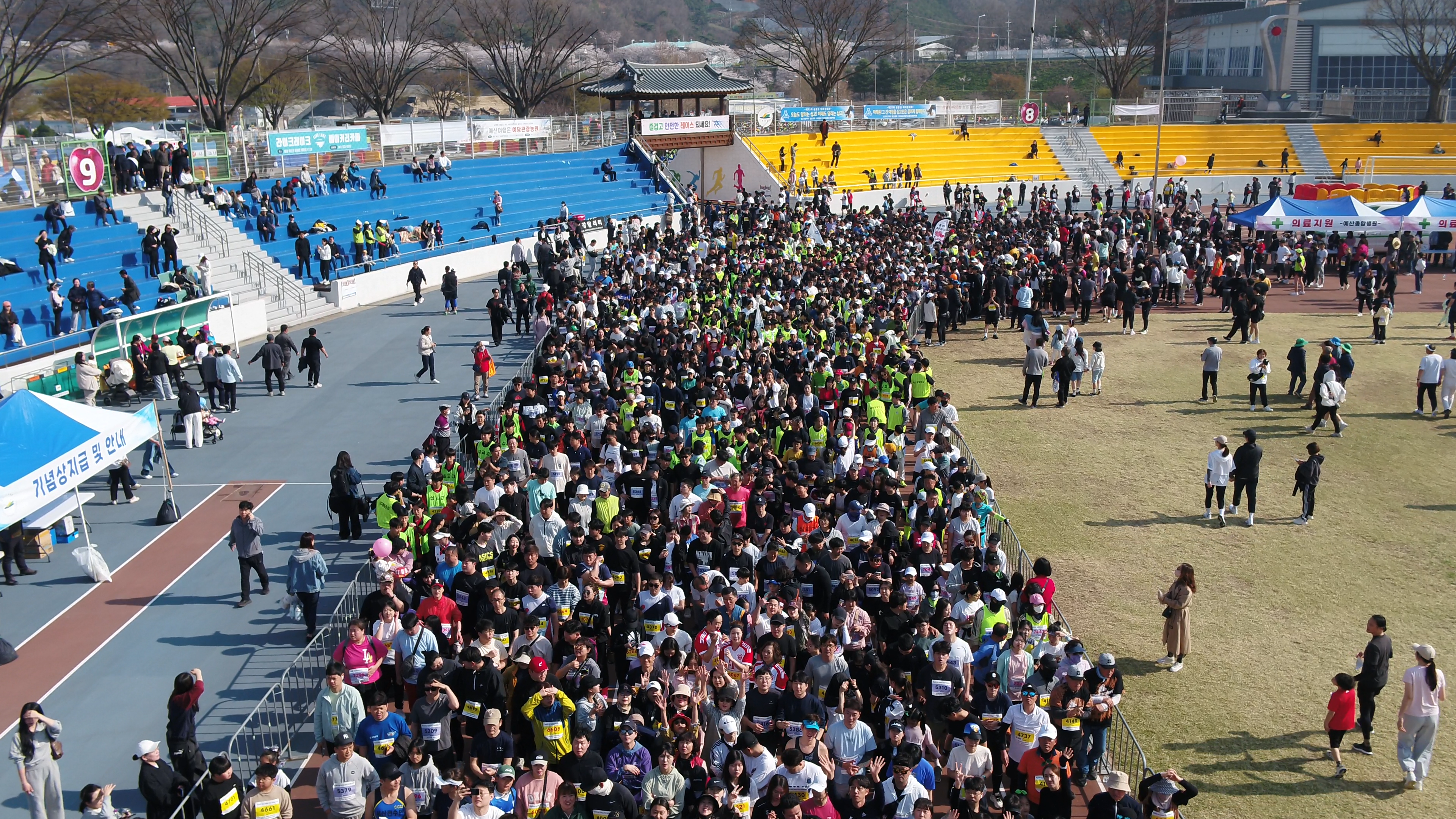 2005년 4월 17일부터 개최된 체육행사로 예산의 벚꽃길을 따라 펼쳐지는 코스를 달리는 마라톤대회이다. 2018년 제14회째를 맞이한 대회는 국내외 마라톤 동호인들은 물론 남녀노소 누구나 참여하는 한마당 축제로 예산종합운동장과 예산군 일원에서 매년 벚꽃이 피는 4월 중에 열린다.