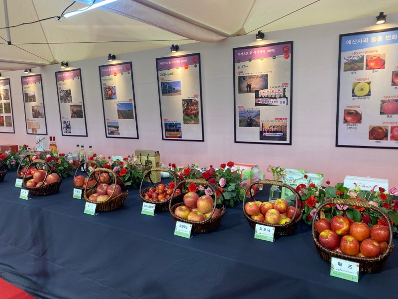 전국 제일의 맛을 자랑하는 예산 황토 사과를 홍보하고 예산군의 문화와 예술을 계승ㆍ발전시키기 위하여 1983년도에 제1회 예산사과축제를 개최한 이래 1992년부터 군민체육대회와 번갈아 격년제로 개최하였고 2019년부터 매년 개최하고 있다.